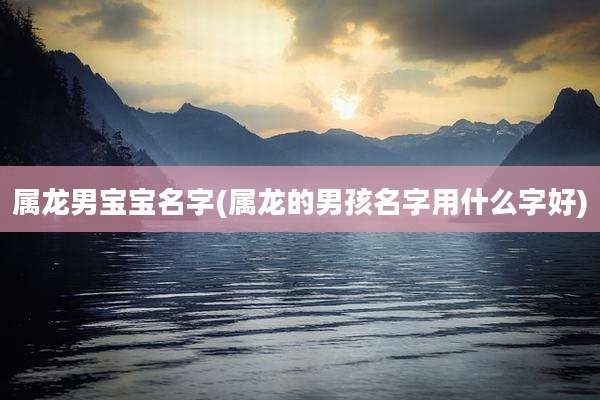 属龙男宝宝名字(属龙的男孩名字用什么字好)