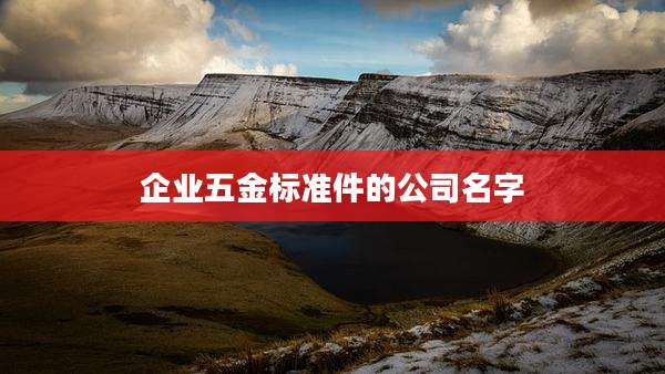 企业五金标准件的公司名字