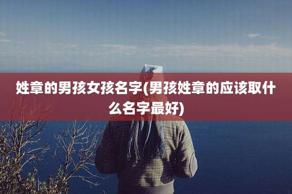 姓章的男孩女孩名字(男孩姓章的应该取什么名字最好)