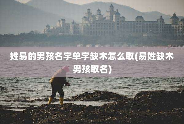 姓易的男孩名字单字缺木怎么取(易姓缺木男孩取名)