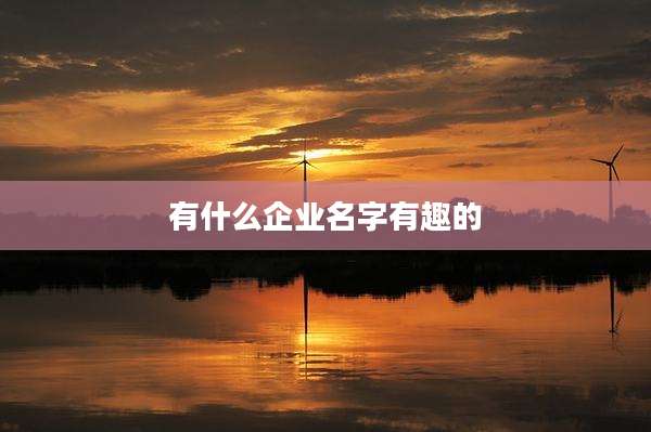 有什么企业名字有趣的