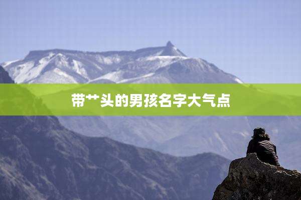 带艹头的男孩名字大气点