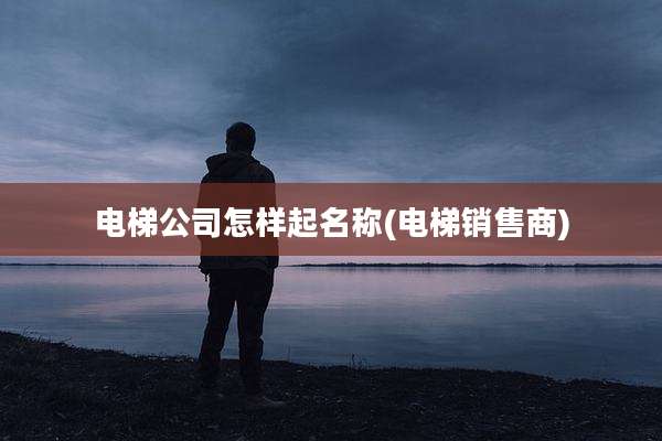 电梯公司怎样起名称(电梯销售商)