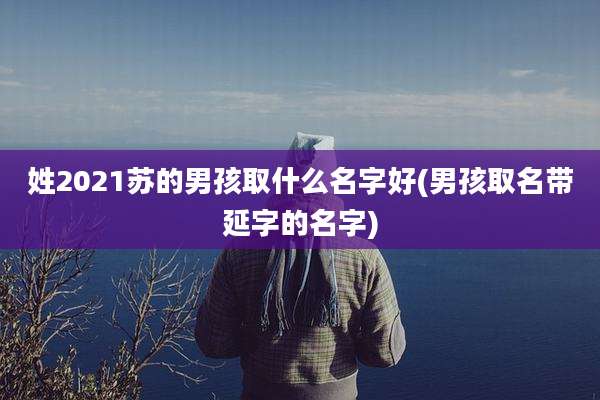 姓2021苏的男孩取什么名字好(男孩取名带延字的名字)