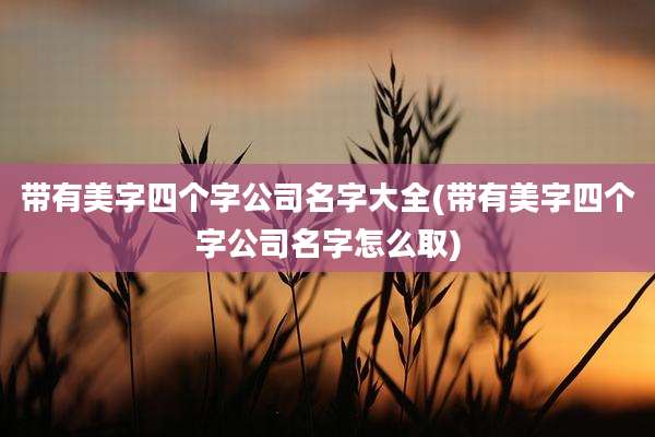 带有美字四个字公司名字大全(带有美字四个字公司名字怎么取)