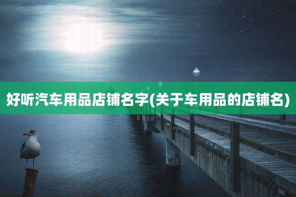 好听汽车用品店铺名字(关于车用品的店铺名)