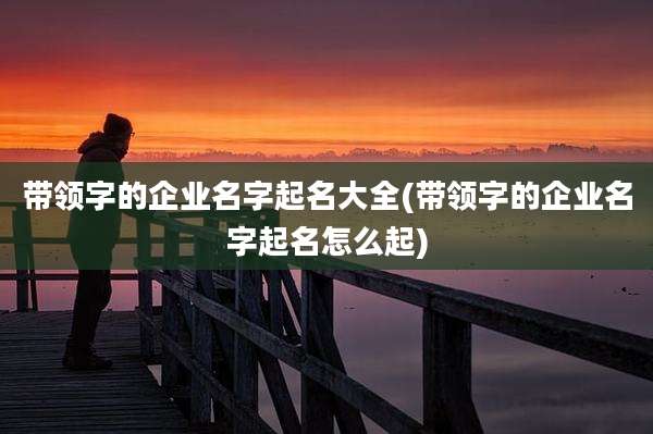 带领字的企业名字起名大全(带领字的企业名字起名怎么起)