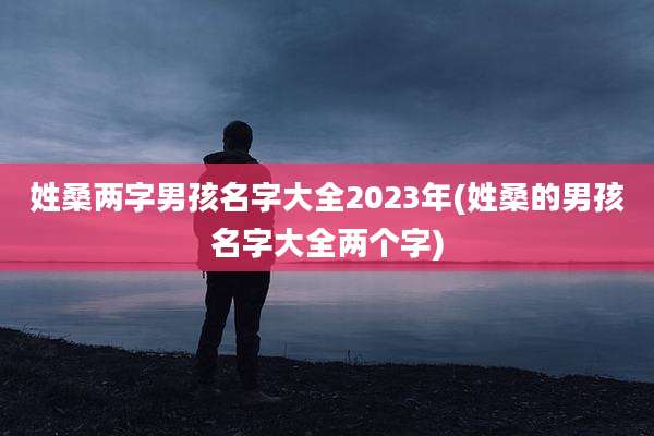 姓桑两字男孩名字大全2023年(姓桑的男孩名字大全两个字)