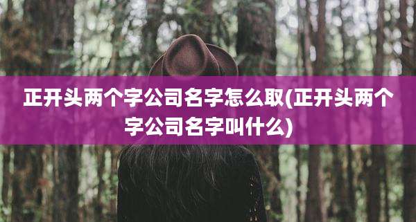 正开头两个字公司名字怎么取(正开头两个字公司名字叫什么)