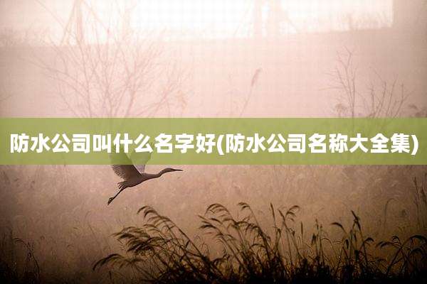 防水公司叫什么名字好(防水公司名称大全集)