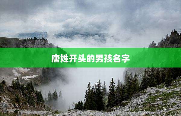 唐姓开头的男孩名字