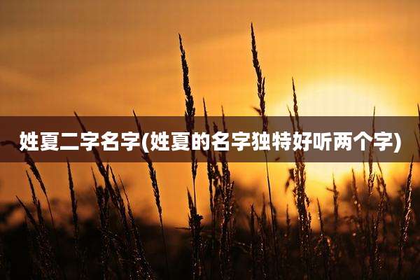 姓夏二字名字(姓夏的名字独特好听两个字)