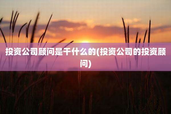 投资公司顾问是干什么的(投资公司的投资顾问)