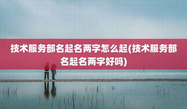 技术服务部名起名两字怎么起(技术服务部名起名两字好吗)