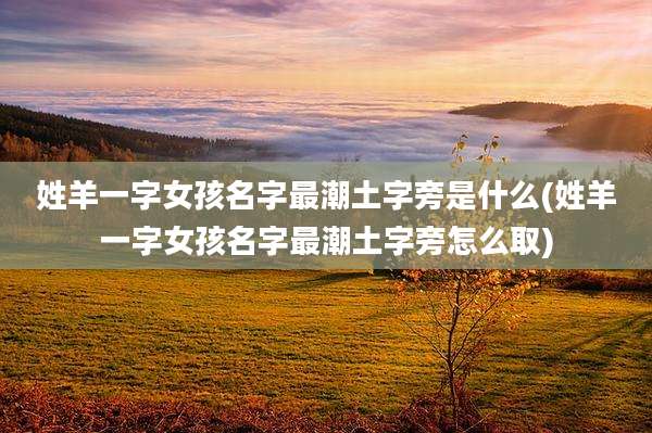姓羊一字女孩名字最潮土字旁是什么(姓羊一字女孩名字最潮土字旁怎么取)