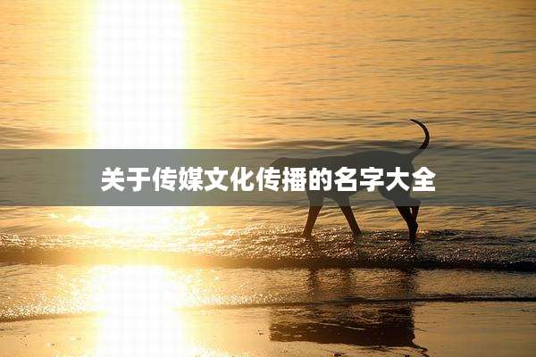 关于传媒文化传播的名字大全