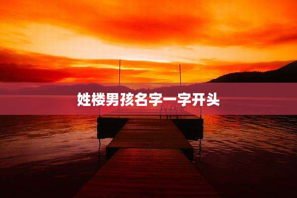 姓楼男孩名字一字开头