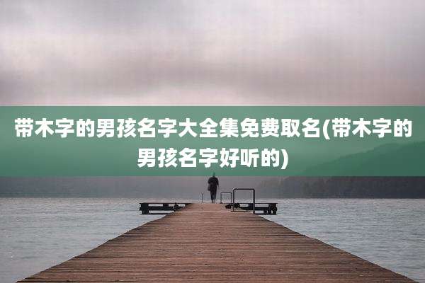 带木字的男孩名字大全集免费取名(带木字的男孩名字好听的)