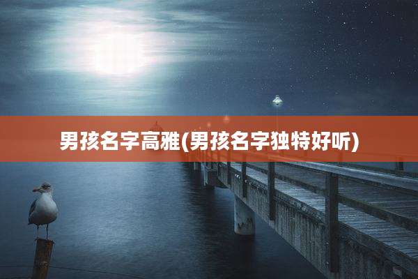 男孩名字高雅(男孩名字独特好听)