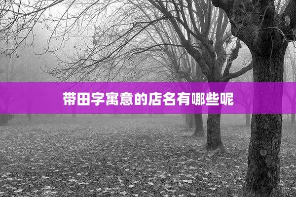 带田字寓意的店名有哪些呢