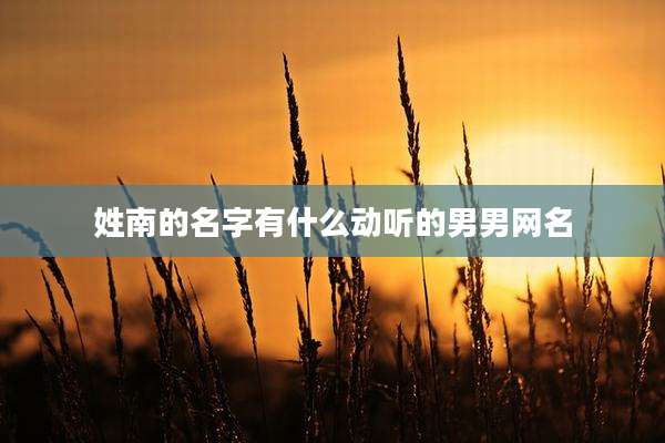 姓南的名字有什么动听的男男网名
