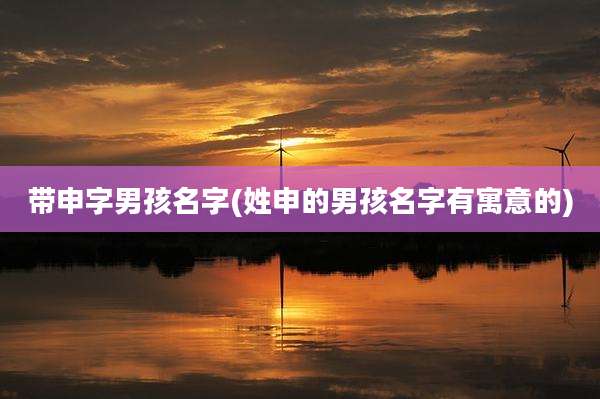 带申字男孩名字(姓申的男孩名字有寓意的)
