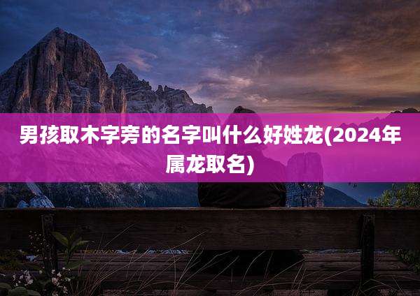 男孩取木字旁的名字叫什么好姓龙(2024年属龙取名)