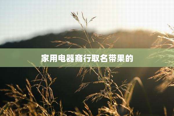 家用电器商行取名带果的