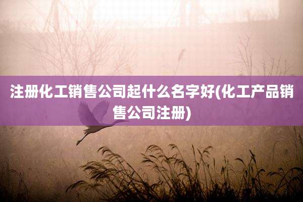 注册化工销售公司起什么名字好(化工产品销售公司注册)