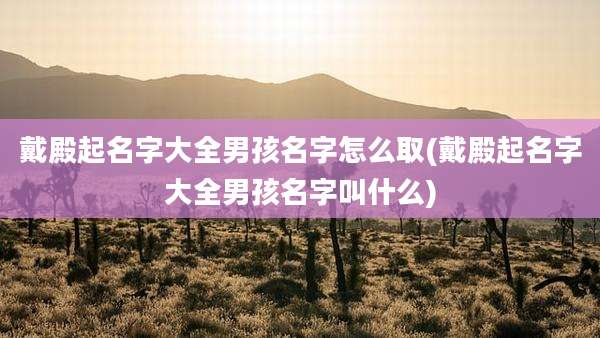 戴殿起名字大全男孩名字怎么取(戴殿起名字大全男孩名字叫什么)