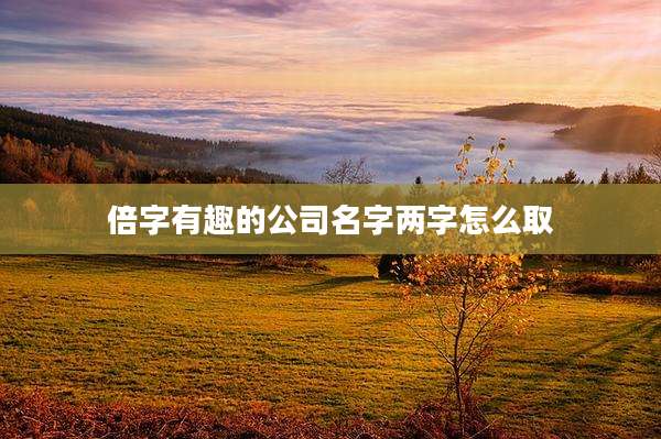 倍字有趣的公司名字两字怎么取