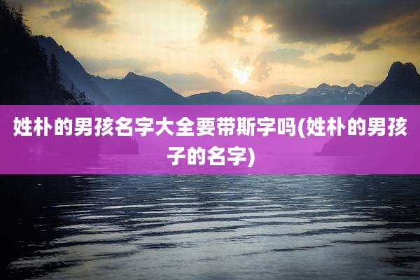 姓朴的男孩名字大全要带斯字吗(姓朴的男孩子的名字)