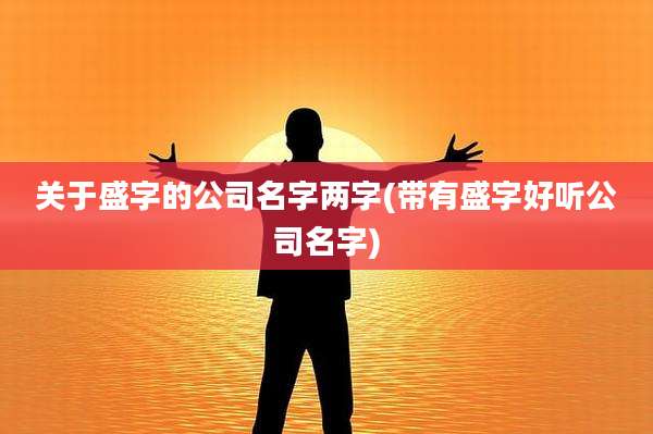 关于盛字的公司名字两字(带有盛字好听公司名字)