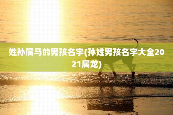 姓孙属马的男孩名字(孙姓男孩名字大全2021属龙)