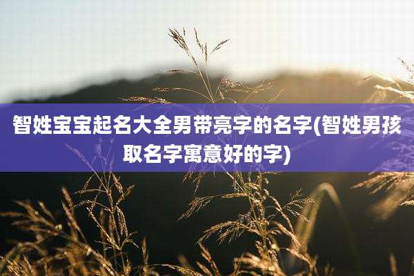 智姓宝宝起名大全男带亮字的名字(智姓男孩取名字寓意好的字)