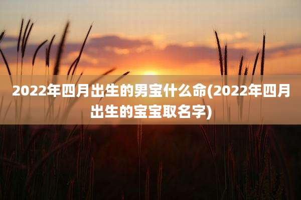2022年四月出生的男宝什么命(2022年四月出生的宝宝取名字)