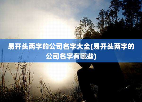 易开头两字的公司名字大全(易开头两字的公司名字有哪些)