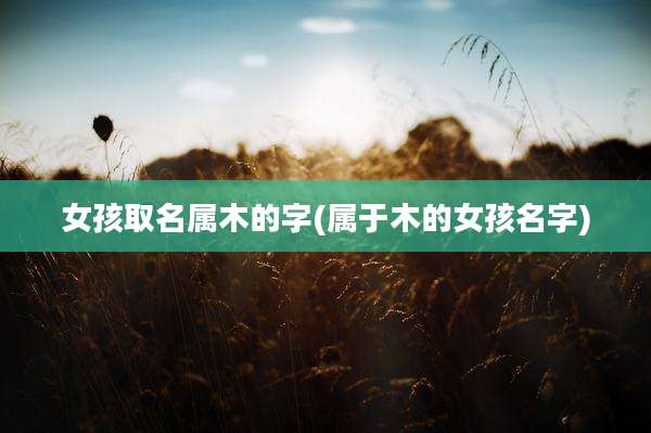 女孩取名属木的字(属于木的女孩名字)