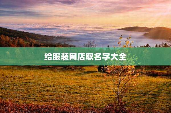 给服装网店取名字大全