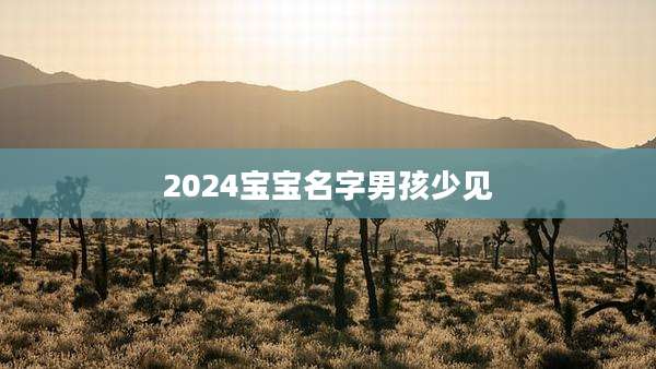 2024宝宝名字男孩少见