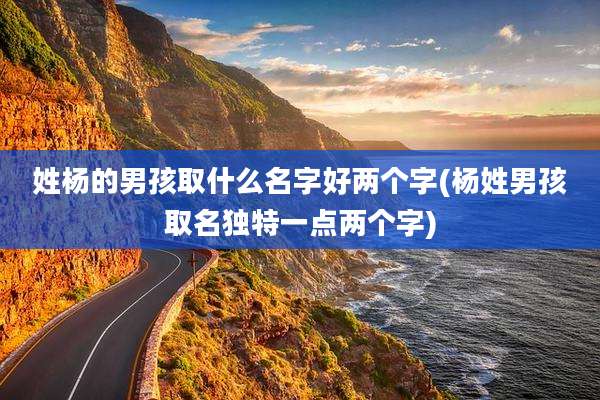 姓杨的男孩取什么名字好两个字(杨姓男孩取名独特一点两个字)