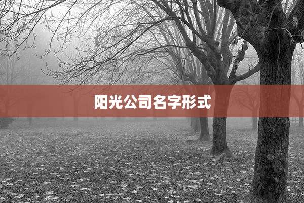 阳光公司名字形式