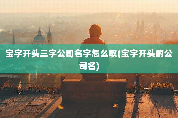 宝字开头三字公司名字怎么取(宝字开头的公司名)