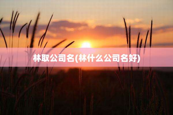 林取公司名(林什么公司名好)