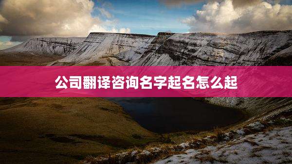 公司翻译咨询名字起名怎么起