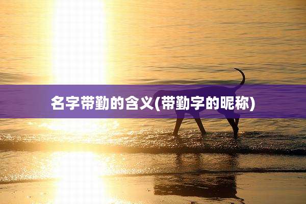 名字带勤的含义(带勤字的昵称)