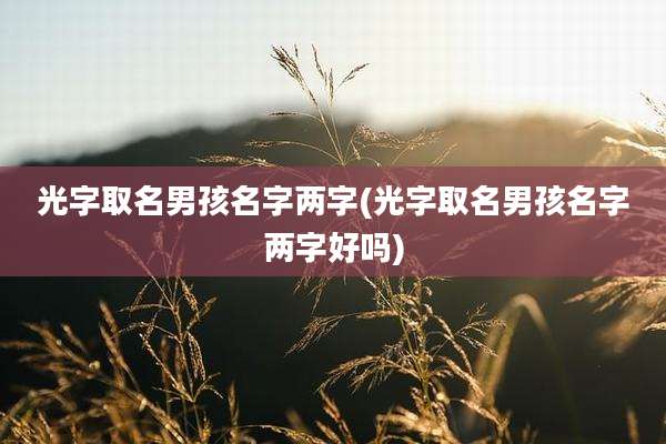 光字取名男孩名字两字(光字取名男孩名字两字好吗)
