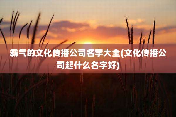 霸气的文化传播公司名字大全(文化传播公司起什么名字好)