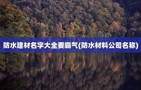 防水建材名字大全要霸气(防水材料公司名称)