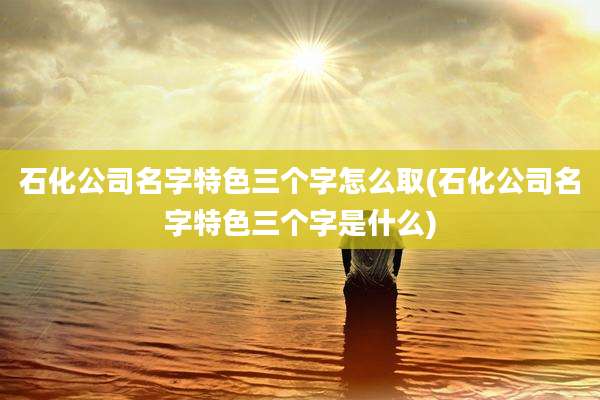 石化公司名字特色三个字怎么取(石化公司名字特色三个字是什么)
